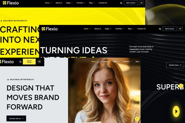 Flexio 1.0.0 – Modern WordPress Theme