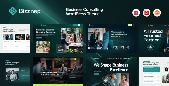 Bizznep 1.0.1 – Business Consulting WordPress Theme