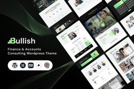 Bullish - Finance & Accounts Consulting WordPress