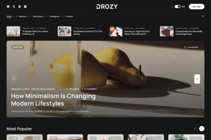 Drozy - Modern Blog & Magazine WordPress Theme