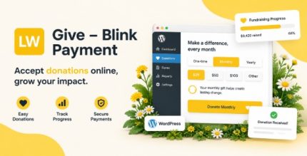 Give Blink Payment
